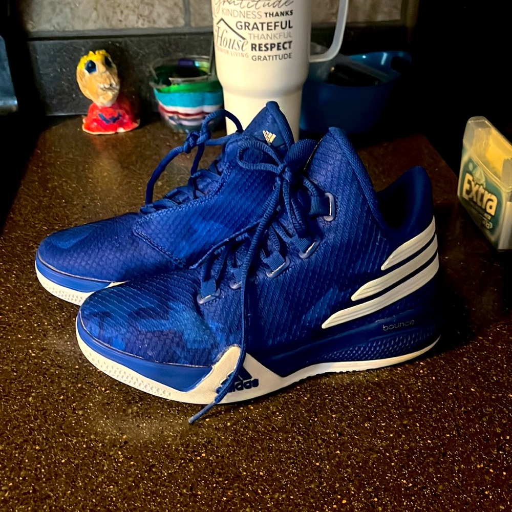 Blue Adidas Volleyball or Basketball Shoes